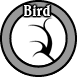 Bird Tattoo