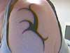 Steve's Bird Tattoo